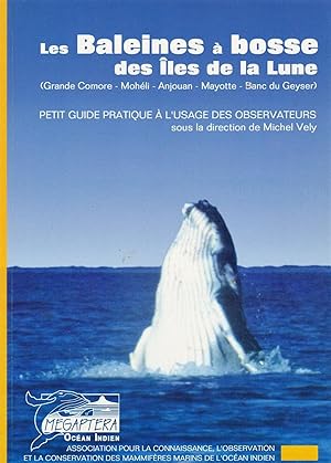 Les baleines à bosse des îles de la Lune