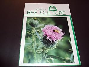 Gleanings in Bee Culture June 1986 The Colony In The Bee Tree