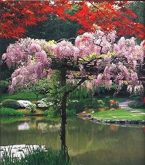 Bild des Verkufers fr Japanese-style gardens of the Pacific west coast zum Verkauf von Joseph Valles - Books