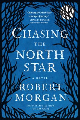 Seller image for Chasing the North Star (Paperback or Softback) for sale by BargainBookStores