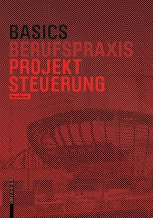 Image du vendeur pour Projekt-steuerung -Language: german mis en vente par GreatBookPrices