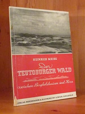 Imagen del vendedor de Der Teuteburger Wald zwischen Borgholzhausen und Horn. a la venta por Das Konversations-Lexikon