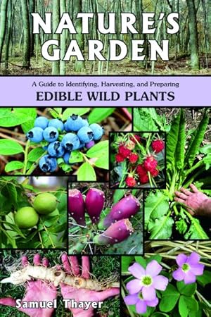 Bild des Verkufers fr Nature's Garden : A Guide to Identifying, Harvesting, and Preparing Edible Wild Plants zum Verkauf von GreatBookPrices