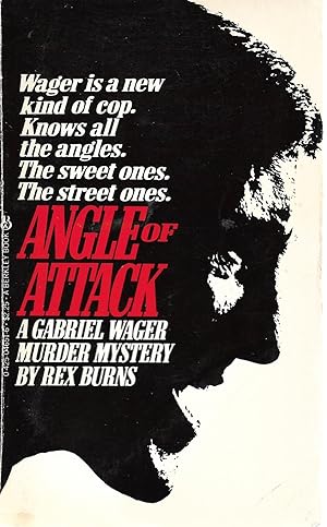 Seller image for Angle of Attack for sale by Cher Bibler