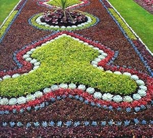 Bild des Verkufers fr Annuals : a complete guide to successful growing [Using Annuals - Floweres and Foliage - Annuals in containers - Propagation and planting - Maintenance] zum Verkauf von Joseph Valles - Books