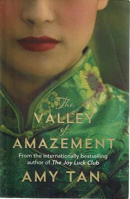 Imagen del vendedor de The Valley Of Amazement a la venta por Marlowes Books and Music