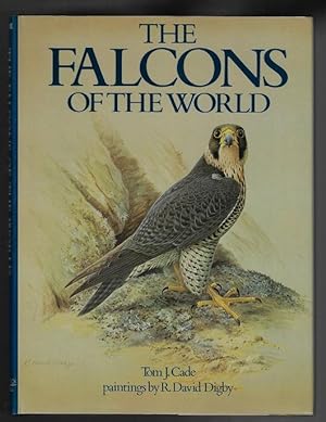 The Falcons of the World
