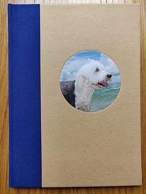 Seller image for Floridadogs for sale by Setanta Books