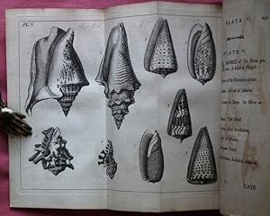 Bild des Verkufers fr Elements of Conchology: Or, An Introduction to The Knowledge of Shells. With Seven Plates, Containing Figures of every Genus of Shells. zum Verkauf von Patrick Pollak Rare Books ABA ILAB
