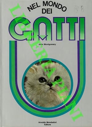 Nel mondo dei gatti.