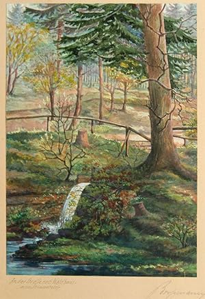 Aquarell von Brossmann; An der Strasse nach Waldhaus, Krimmeteich