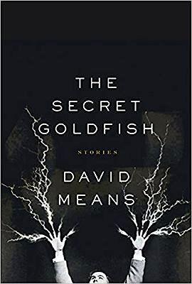 Image du vendeur pour Secret Goldfish, The mis en vente par Monroe Street Books