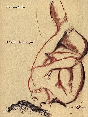 Bild des Verkufers fr Il Sole di Stagno zum Verkauf von Librodifaccia