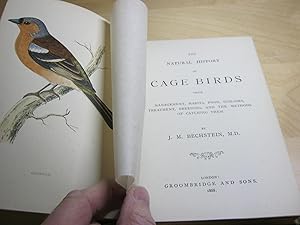 Seller image for The Natural History of Cage Birds. Their Management, Habits, Food, Diseases, Treatment, Breeding, and the methods of catching them. for sale by Wylie Books