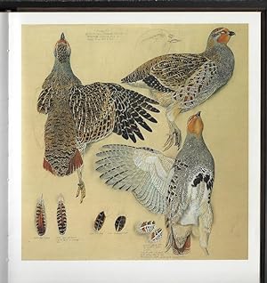 Tunnicliffe's Birds: Measured Drawings by C.F. Tunnicliffe RA