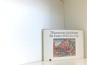 Imagen del vendedor de Illuminierte Holzschnitte der Luther-Bibel von 1534. Eine Bildauswahl. Fotos von Klaus G.Beyer. a la venta por Book Broker