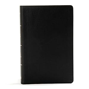 Immagine del venditore per Holy Bible The Old and New Testaments : King James Version, Large Print, Personal Size, Reference, Black Leathertouch venduto da GreatBookPrices