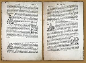 WELTCHRONIK Blatt, Leaf: CCLI [251] recto: Antoninus von Florenz (=Antonio Pierozzi (1389-1459));...