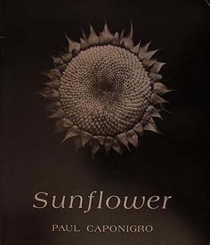 Sunflower (Signed).