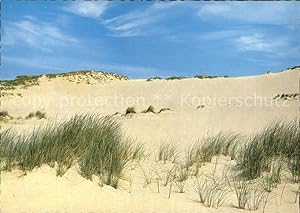 Bild des Verkufers fr Postkarte Carte Postale 42066723 Insel Sylt om Winde verweht Westerland zum Verkauf von Versandhandel Boeger