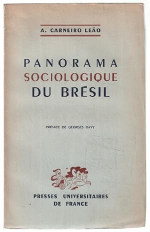 Panorama sociologique du brésil