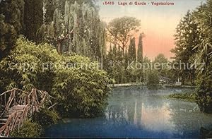 Bild des Verkufers fr Postkarte Carte Postale 42560294 Gardasee Lago di Garda Vegetazioni Italien zum Verkauf von Versandhandel Boeger