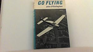 Immagine del venditore per Go Flying. venduto da Antiquariat Uwe Berg