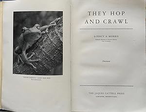 They hop and crawl