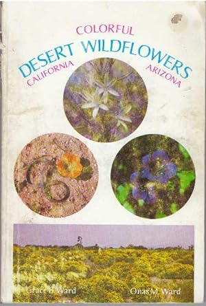 COLORFUL DESERT WILDFLOWERS; California - Arizona