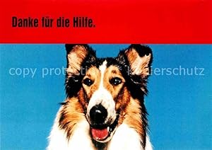 Bild des Verkufers fr Postkarte Carte Postale 72799109 Hunde Collie Lassie TV-Serie Werbung Bild Zeitung Tiere zum Verkauf von Versandhandel Boeger