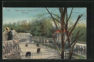 Postcard Chicago, IL, Lincoln Park, Bear Cages