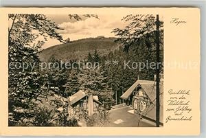 Seller image for Postkarte Carte Postale 42906742 Hagen Westfalen Waldlust zum Goldberg Hagen for sale by Versandhandel Boeger