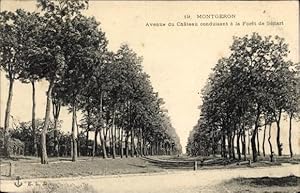 Ansichtskarte / Postkarte Montgeron Essonne, Avenue du Château conduisant à la Forêt de Sénart