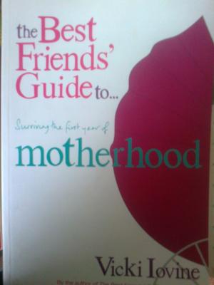 Bild des Verkufers fr The Best Friend's Guide to Surviving the First Year of Motherhood zum Verkauf von Versandantiquariat Jena