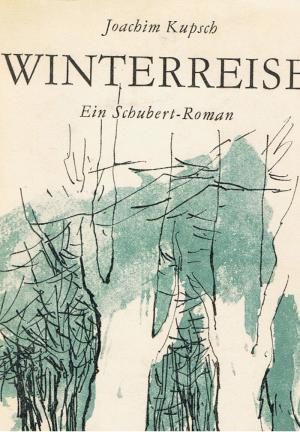 Seller image for Winterreise : ein Schubert-Roman. [Gebundene Ausgabe] for sale by Versandantiquariat Jena