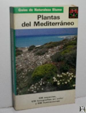 PLANTAS DEL MEDITERRÁNEO