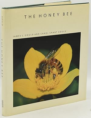 THE HONEY BEE