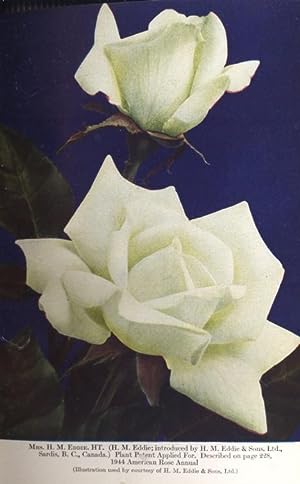 Seller image for The American Rose Annual, the 1946 Yearbook of Rose Progress. [Uruguay; Cuba; Lewis & Clark College; Australian Rose Societies; Plant Patent Act; Moss Roses; Species Roses; Tree Roses In The South; China Rose Is Hardy; Root Pruning; Nebraska; Kentuc for sale by Joseph Valles - Books