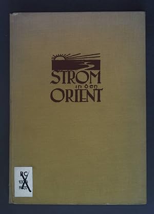 Seller image for Strom in den Orient - Vom Schwarzwald zum Schwarzem Meer. for sale by books4less (Versandantiquariat Petra Gros GmbH & Co. KG)