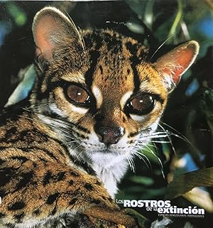 Los rostros de la extinción: especies Venezolanas amenazadas