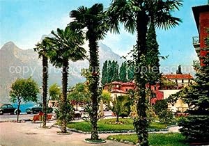 Bild des Verkufers fr Postkarte Carte Postale 72928320 Torbole Lago di Garda Uferstrasse Palmen Gardasee Italien zum Verkauf von Versandhandel Boeger