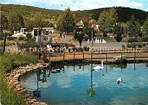 Bild des Verkufers fr Postkarte Carte Postale 72929575 Bad Soden-Salmuenster Wassergarten Schwaene Bad Soden-Salmuenster zum Verkauf von Versandhandel Boeger