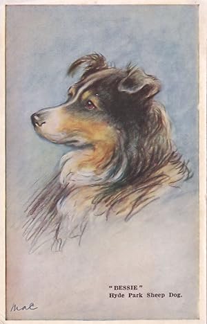Bessie Hyde Park Sheep Dog Tailwaggers Dog Antique Postcard