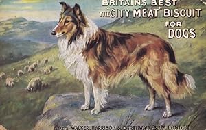 Britains Best Biscuit For Foxhounds Hunting Dogs Old Advertising Postcard