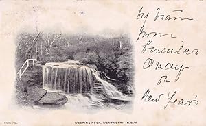 Weeping Rock 1904 Wentworth Australia Old Postcard