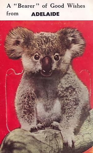 Adelaide Australia Folding Mailing Novelty Bear Antique Postcard