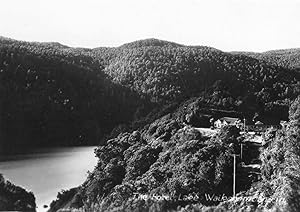 Lake Waikaremoana Hotel New Zealand Plain Back Postcard Photo