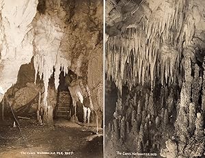 Bild des Verkufers fr Waitomo Caves New Zealand 2x Real Photo Old Postcard s zum Verkauf von Postcard Finder