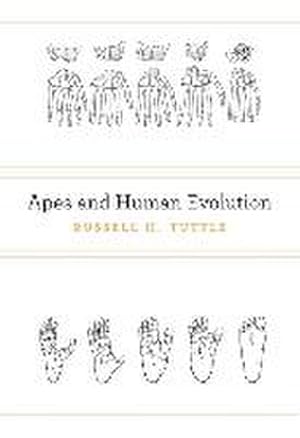 Seller image for Apes and Human Evolution for sale by AHA-BUCH