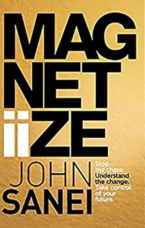 Seller image for Magnitiize : Stop the Chase. Understand the Change. Take Control of Your Future. for sale by GreatBookPrices